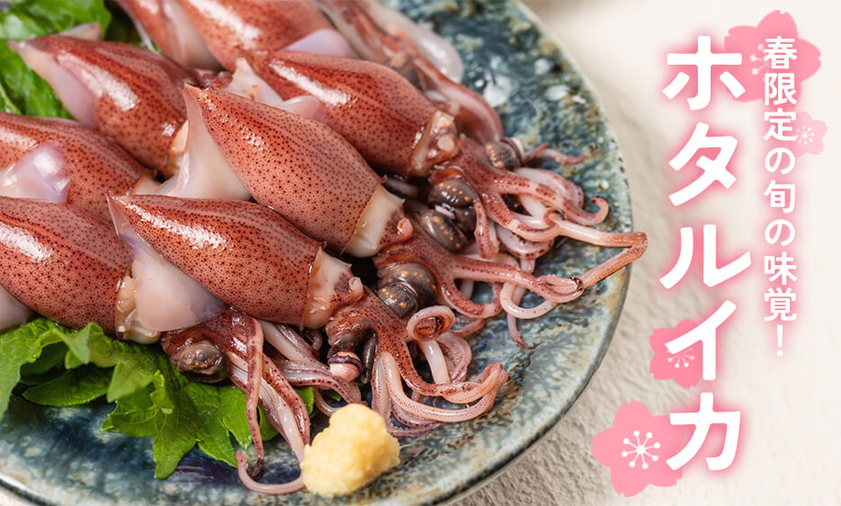 ホタルイカ - 春しか獲れない旬の味覚！ – さんチョク