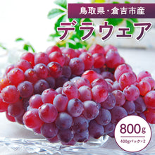 画像をギャラリービューアに読み込む, 【鳥取県倉吉市産】 デラウェア 秀品 800g(400gパック×2)