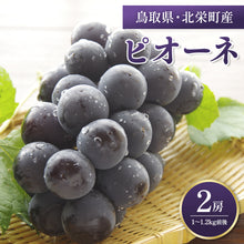 画像をギャラリービューアに読み込む, 【鳥取県北栄町産】 ピオーネ 秀品 1~1.2kg(2房) 8月5日注文締切