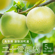 画像をギャラリービューアに読み込む, 【鳥取県湯梨浜町産】二十世紀梨 秀品 5kg(12~16玉) 福本農園 8月下旬以降順次発送