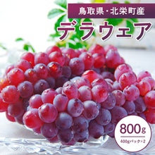 画像をギャラリービューアに読み込む, 【鳥取県北栄町産】 デラウェア 秀品 800g(400gパック×2)