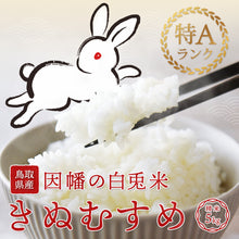 画像をギャラリービューアに読み込む, 【鳥取県産】因幡の白兎米 きぬむすめ 令和7年度産 精米済