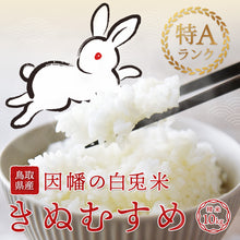 画像をギャラリービューアに読み込む, 【鳥取県産】因幡の白兎米 きぬむすめ 令和7年度産 精米済 10kg(5kg×2袋)