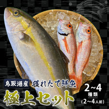 画像をギャラリービューアに読み込む, 【鳥取/鳥取港】獲れたて鮮魚 極上セット 2〜4種類(2〜4人前)