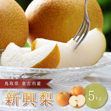 画像をギャラリービューアに読み込む, 【鳥取県倉吉市産】新興梨 家庭用 5kg 倉吉観光梨園 10月20日以降順次発送/10月10日注文締切