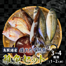 画像をギャラリービューアに読み込む, 【鳥取/鳥取港】獲れたて鮮魚 稚魚セット 3〜4種類(1〜2人前)