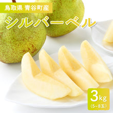 画像をギャラリービューアに読み込む, 【鳥取県青谷町産】シルバーベル 秀品 3kg(5~8個) ひかり農園 11月中旬頃順次発送開始予定