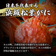画像をギャラリービューアに読み込む, 【兵庫/浜坂港】<訳あり>ボイル松葉ガニ(冷凍) 足折れ1本あり 11月10日以降順次出荷