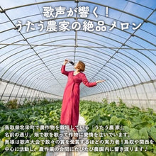 画像をギャラリービューアに読み込む, 【北栄町産】アールスディーバ 2玉セット(2kg前後/1玉)