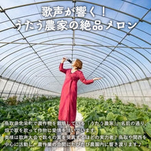 画像をギャラリービューアに読み込む, 【北栄町産】ペルルメロン 2玉セット(2kg前後/1玉)