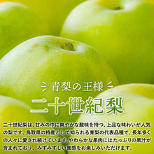 画像をギャラリービューアに読み込む, 【鳥取県青谷町産】二十世紀梨 秀品 3kg(6~10玉) ひかり農園 9月上旬頃順次発送開始予定