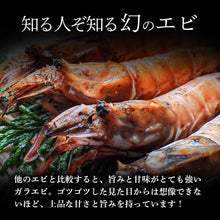 画像をギャラリービューアに読み込む, 鳥取県産 冷凍ガラエビ むきエビ(生食可)200gパック