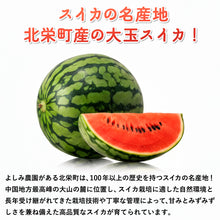 画像をギャラリービューアに読み込む, 【北栄町産】大玉スイカ(7~9.5kg前後/1玉)