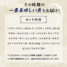 画像をギャラリービューアに読み込む, 【鳥取/鳥取港】獲れたて鮮魚 夫婦セット 3〜5種類(2人前)