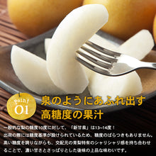 画像をギャラリービューアに読み込む, 【鳥取県倉吉市産】完熟新甘泉 秀品(3Lサイズ) 倉吉観光梨園 9月上旬以降順次発送