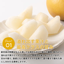 画像をギャラリービューアに読み込む, 【鳥取県青谷町産】新甘泉 秀品 3kg(6~10玉) ひかり農園 8月下旬頃順次発送開始予定