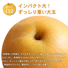 画像をギャラリービューアに読み込む, 【鳥取県倉吉市産】新興梨 家庭用 5kg 倉吉観光梨園 10月20日以降順次発送/10月10日注文締切