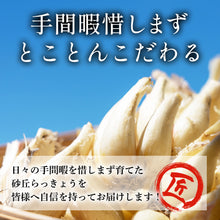 画像をギャラリービューアに読み込む, 【鳥取県北栄町産】砂丘らっきょう 甘酢漬け(180g×5袋)
