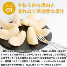 画像をギャラリービューアに読み込む, 【鳥取県青谷町産】王秋梨 秀品 3kg(5~8個) ひかり農園 11月上旬頃順次発送開始予定