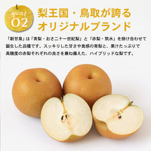 画像をギャラリービューアに読み込む, 【鳥取県倉吉市産】完熟新甘泉 秀品(3Lサイズ) 倉吉観光梨園 9月上旬以降順次発送