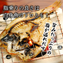 画像をギャラリービューアに読み込む, 鳥取県網代港産 のどぐろ開き 60g 2026年の年始出荷日 1月9日