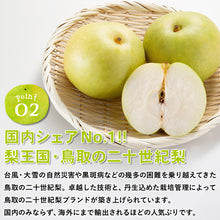 画像をギャラリービューアに読み込む, 【鳥取県湯梨浜町産】二十世紀梨 秀品 5kg(12~16玉) 福本農園 8月下旬以降順次発送
