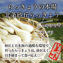 画像をギャラリービューアに読み込む, 【鳥取県北栄町産】砂丘らっきょう 甘酢漬け(180g×5袋)