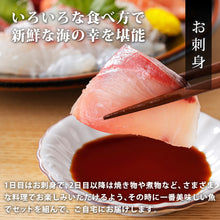 画像をギャラリービューアに読み込む, 【鳥取/鳥取港】獲れたて鮮魚 稚魚セット 3〜4種類(1〜2人前)