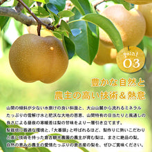 画像をギャラリービューアに読み込む, 【鳥取県倉吉市産】完熟新甘泉 秀品(3Lサイズ) 倉吉観光梨園 9月上旬以降順次発送