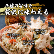 画像をギャラリービューアに読み込む, 【兵庫/浜坂港】<訳あり>ボイル親ガニ(セコガニ)冷凍 足折れ1~2本あり 11月10日以降順次出荷