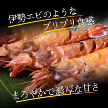 画像をギャラリービューアに読み込む, 鳥取県産 冷凍猛者エビ(モサエビ) むきエビ(生食可)200gパック 2026年の年始出荷日 1月9日