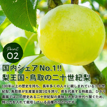 画像をギャラリービューアに読み込む, 【鳥取県青谷町産】二十世紀梨 秀品 3kg(6~10玉) ひかり農園 9月上旬頃順次発送開始予定