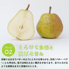 画像をギャラリービューアに読み込む, 【鳥取県青谷町産】ラ・フランス 秀品 3kg(8~12個) ひかり農園 11月上旬頃順次発送開始予定