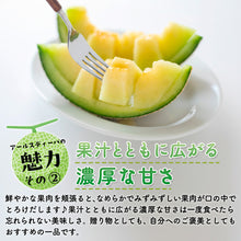 画像をギャラリービューアに読み込む, 【北栄町産】アールスディーバ 2玉セット(2kg前後/1玉)