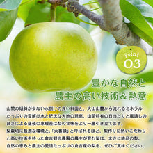 画像をギャラリービューアに読み込む, 【鳥取県倉吉市産】完熟二十世紀梨 秀品(3kg/3Lサイズ/7〜8個) 倉吉観光梨園 注文締切8月31日