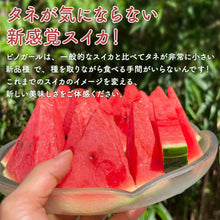 画像をギャラリービューアに読み込む, 【北栄町産スイカ】ピノガール 2玉セット(2.5kg~/1玉)
