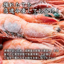 画像をギャラリービューアに読み込む, 鳥取県網代港産 冷凍猛者エビ(モサエビ)500g