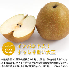 画像をギャラリービューアに読み込む, 【鳥取県青谷町産】王秋梨 秀品 3kg(5~8個) ひかり農園 11月上旬頃順次発送開始予定