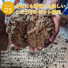 画像をギャラリービューアに読み込む, 【鳥取県青谷町産】パス・クラサン 秀品 3kg(5~8個) ひかり農園 12月上旬頃順次発送開始予定