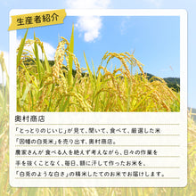 画像をギャラリービューアに読み込む, 【鳥取県産】因幡の白兎米 きぬむすめ 令和7年度産 精米済