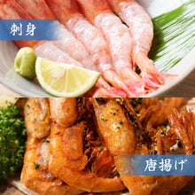 画像をギャラリービューアに読み込む, 鳥取県網代港産 冷凍猛者エビ(モサエビ)500g