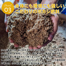 画像をギャラリービューアに読み込む, 【鳥取県青谷町産】新甘泉 秀品 3kg(6~10玉) ひかり農園 8月下旬頃順次発送開始予定