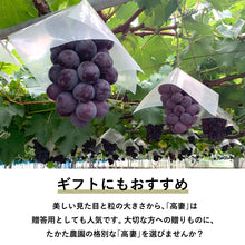 画像をギャラリービューアに読み込む, 【鳥取県北栄町産】 高妻 秀品 1.2~1.5kg(2房)