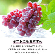 画像をギャラリービューアに読み込む, 【鳥取県倉吉市産】 デラウェア 秀品 800g(400gパック×2)