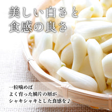 画像をギャラリービューアに読み込む, 【鳥取県北栄町産】葉・根付き砂丘らっきょう サイズ無選別(ML中心)