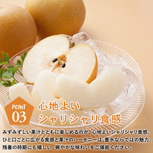 画像をギャラリービューアに読み込む, 【鳥取県福部町産】 豊水 秀品 5kg 安田農園