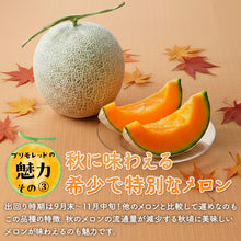 画像をギャラリービューアに読み込む, 【北栄町産】プリモレッド 3玉セット(1.8kg前後/1玉)