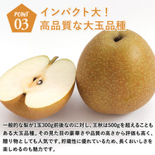 画像をギャラリービューアに読み込む, 【鳥取県福部町産】訳あり 王秋 5kg 安田農園