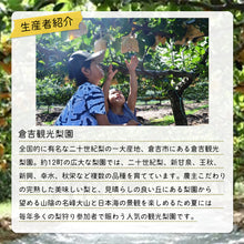 画像をギャラリービューアに読み込む, 【鳥取県倉吉市産】完熟二十世紀梨 秀品(3kg/3Lサイズ/7〜8個) 倉吉観光梨園 注文締切8月31日