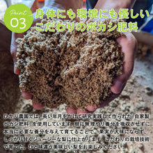 画像をギャラリービューアに読み込む, 【鳥取県青谷町産】ラ・フランス 秀品 3kg(8~12個) ひかり農園 11月上旬頃順次発送開始予定